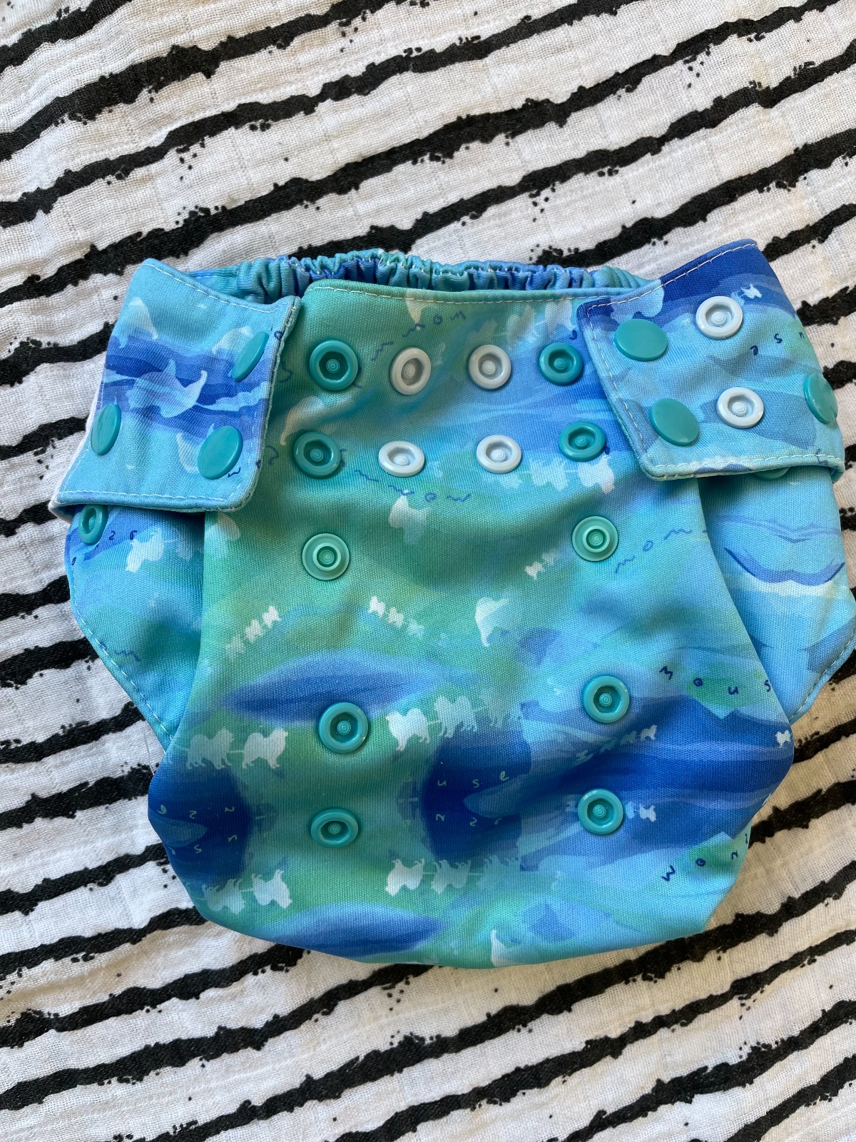 Pocketwindeln wie neu, 5x getragen Blueberry und Mommymouse