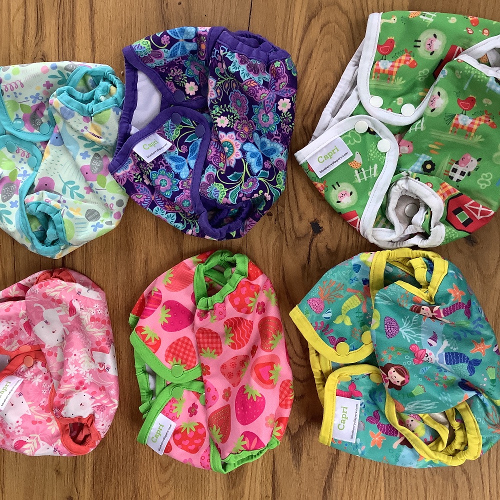 Großes Stoffwindelpaket inkl. Capri blueberrydiapers