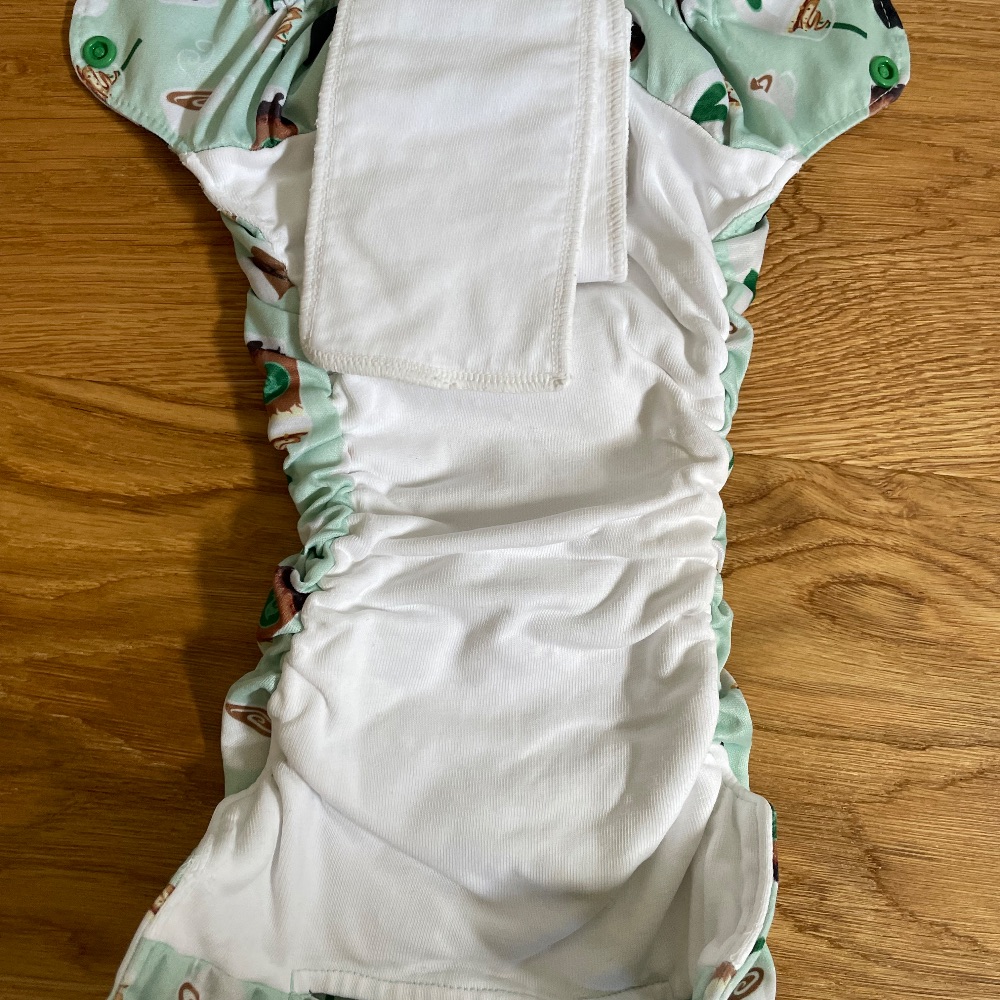 Smart Bottoms Dream Diaper 3.1 AiO