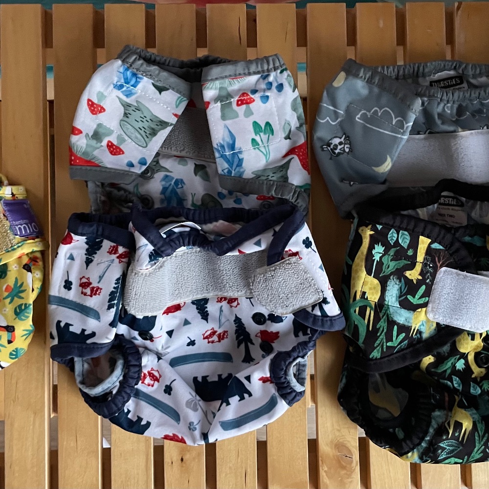 Stoffwindel Starter Set Thirsties - 5 Überhosen und 9 Duo-Einlagen