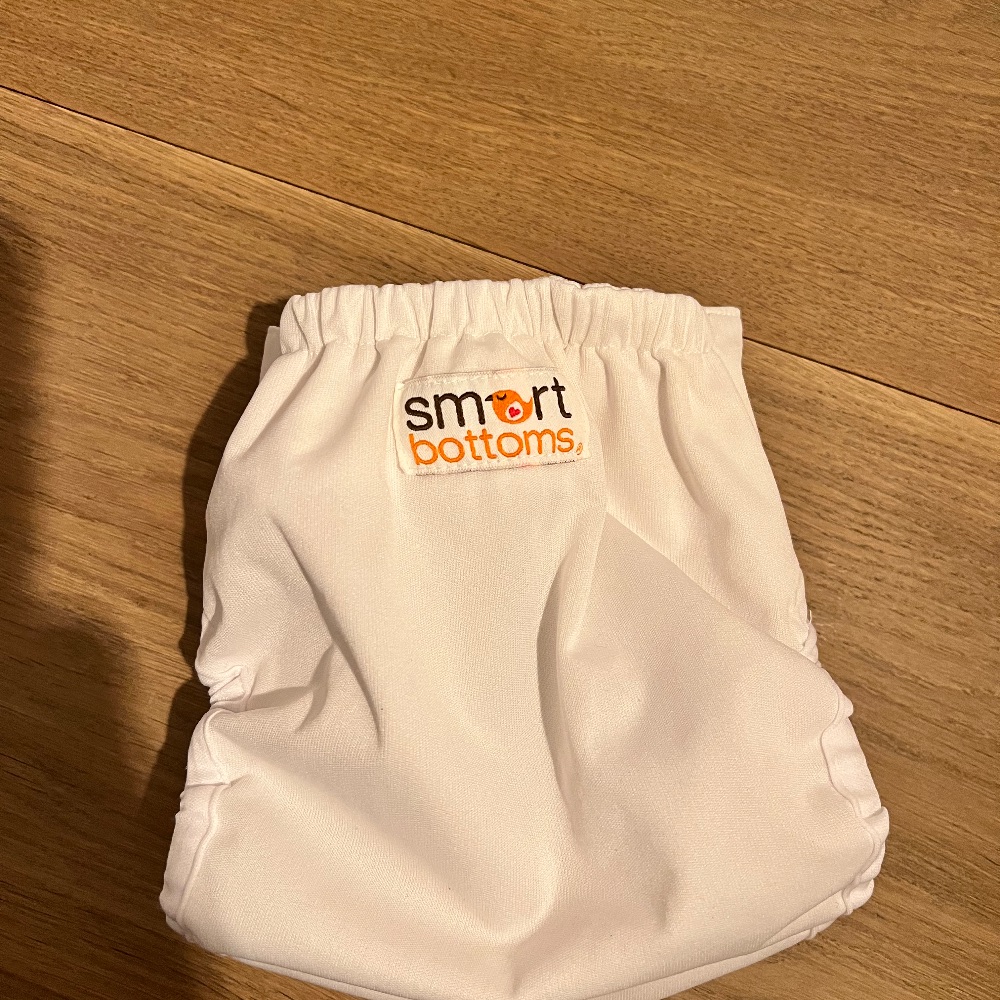 Smart Bottoms Too Smart 2.0 Überhose