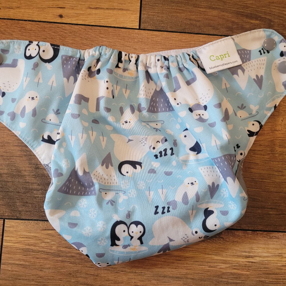 Überhose Blueberry Capri