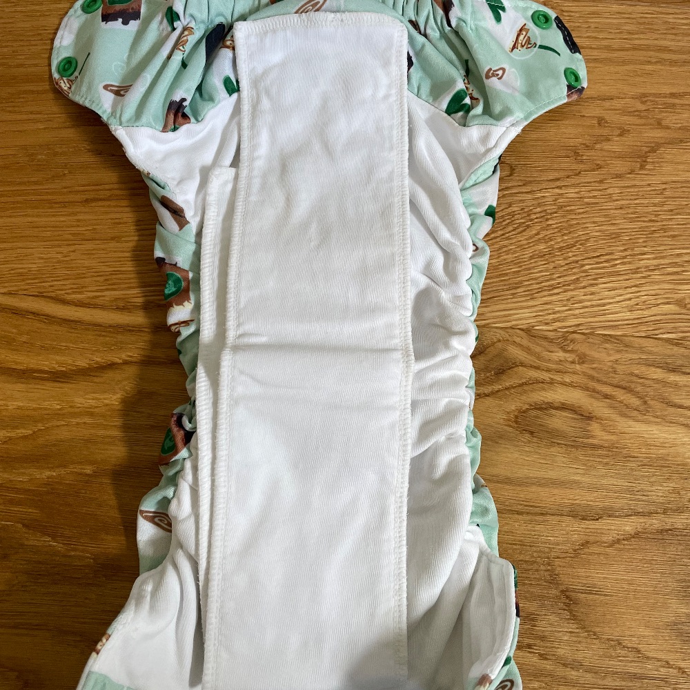Smart Bottoms Dream Diaper 3.1 AiO