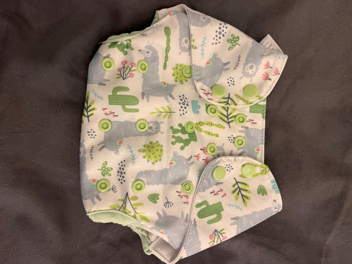 PUL Überhosen Blümchen Bambino Mio Blueberry Petit Lulu